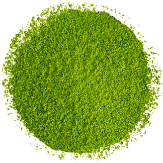 Matcha Cerimonial Orgánico Bio